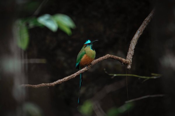 Quelles sont les clés pour réussir une sortie vélo en famille ?